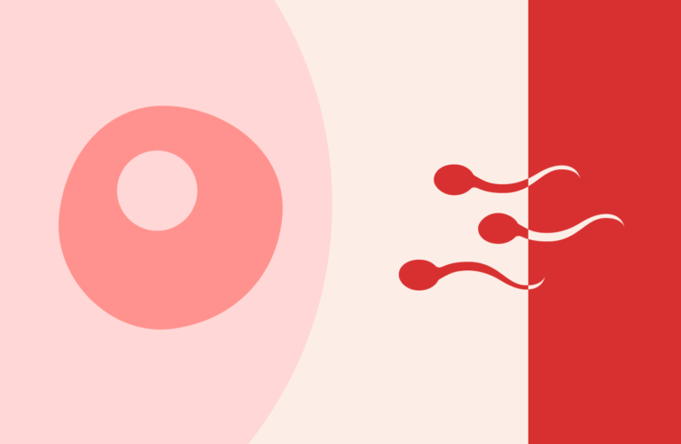 A mund të mbeteni shtatzënë nëse jeni në prag të ciklit menstrual