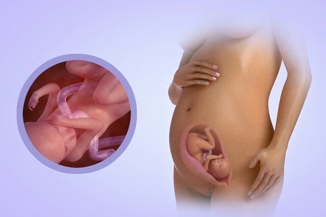 Një studim i ri sqaron përfitimet e suplementeve të magnezit në shtatzëni dhe çrregullimet hormonale