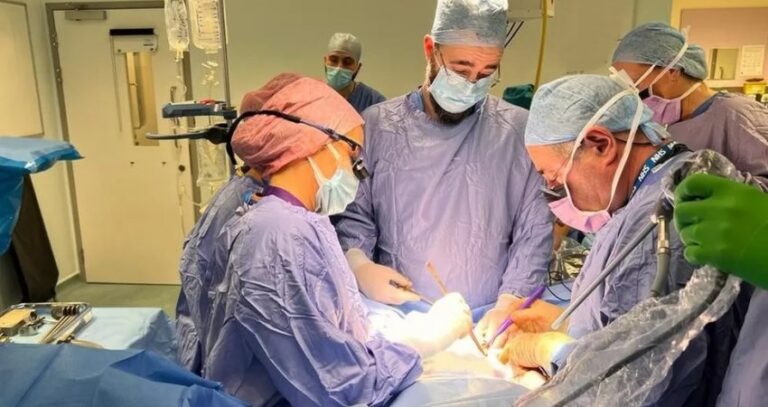 Veshka e derrit shënon një rekord prej 2 muajsh në trupin e dhuruar, duke rritur shpresën për transplantet e organeve kafshë-njeri transplanti i mitres ne MB