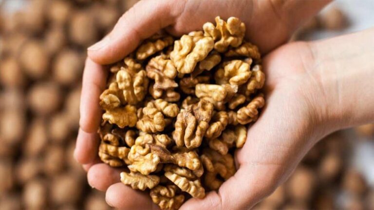 Ngrënia e arrave në baza ditore ul 17% më pak rrezikun për depresion