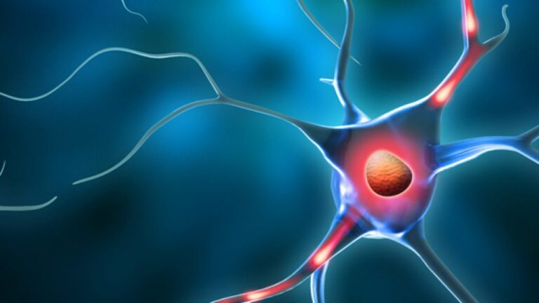 Dopamina mund të ndihmojë në trajtimin e sëmundjes së Alzheimerit