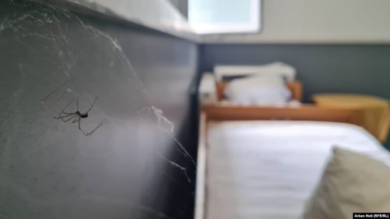 Në kushte të mjera, Pediatria në Mitrovicë të Jugut pret objektin e ri