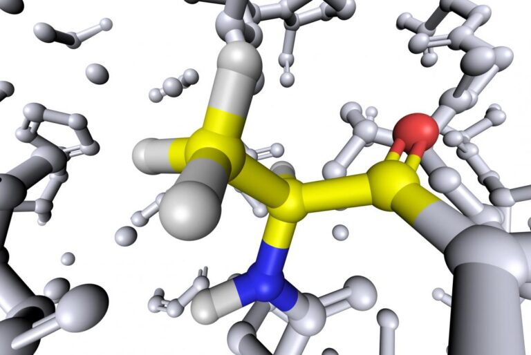 Lidhja potenciale midis marrjes së lartë të aminoacideve dhe rrezikut të diabetit të tipit 2