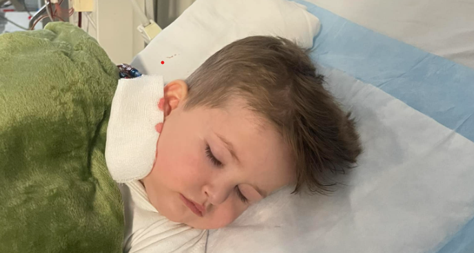 Apel për ndihmë për trajtimin e Leartit, i diagnosifikuar me Insuficiencë Renale Kronike