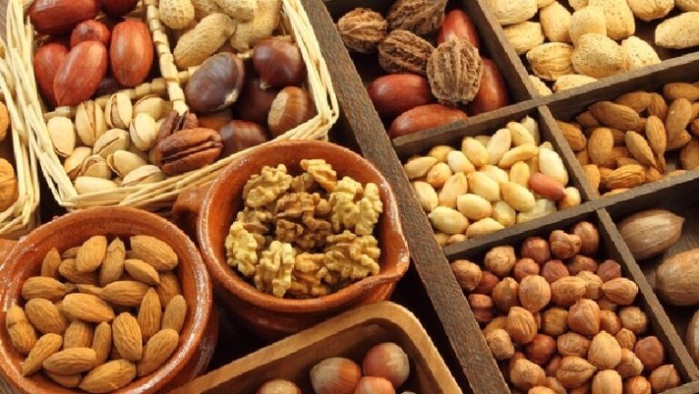 Neurologët sugjerojnë konsumin e frutave të thata si mjet efektiv kundër harresës