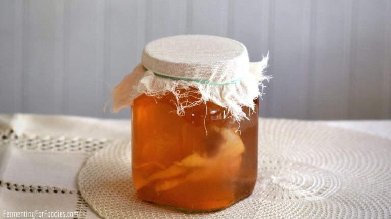 Studimi: Çaji kombucha dhe ulja e niveleve të triglicerideve për sëmundjet kardiovaskulare