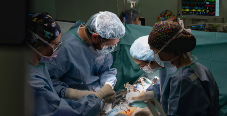 kirurgjia robotike e zemres ne Spanje