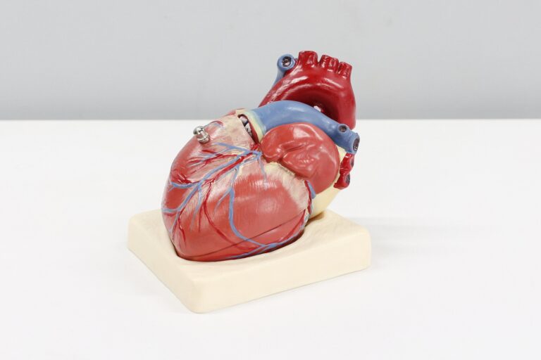 AI jep rezultate premtuese për avancimin e angiografisë koronare