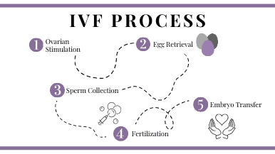 Si është në të vërtetë procesi IVF
