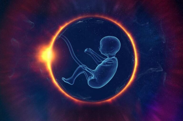 Si ndikojnë fibromat e mitrës në fertilitet?
