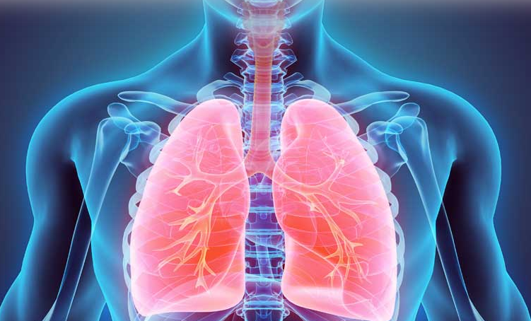 Studimi identifikon një ilaç të ri të mundshëm për trajtimin e tuberkulozit