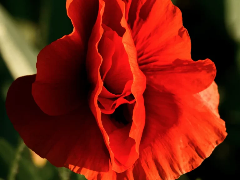A keni enjtje të vaginës? Ja 10 shkaktarët dhe si të lehtësoni simptomat