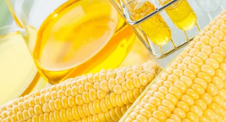 Si ndikon shirupi i misrit me fruktozë të lartë në organizëm