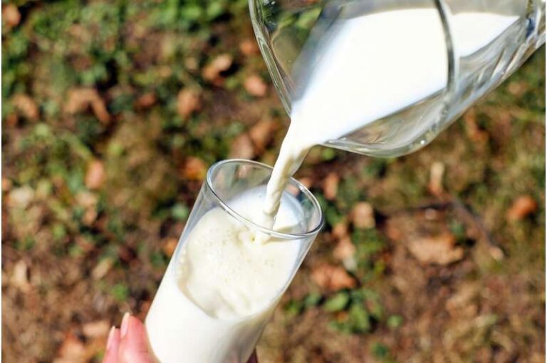 Një gotë qumësht në ditë mund të zvogëlojë rrezikun e kancerit të zorrëve