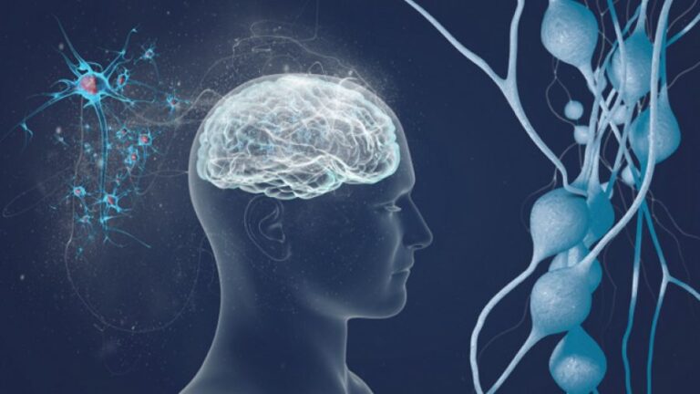 Një mjet i ri gjenetik mund të ndihmojë në diagnostikimin e hershëm të sklerozës multiple