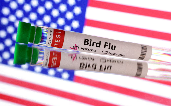 Nevada konfirmon rastin e parë të gripit të shpendëve H5N1
