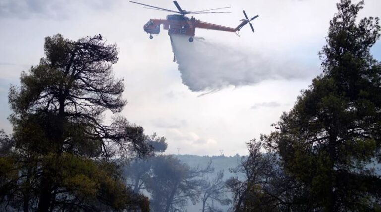 BE do të dërgojë 650 zjarrfikës në zonat me rrezik të lartë nga zjarret