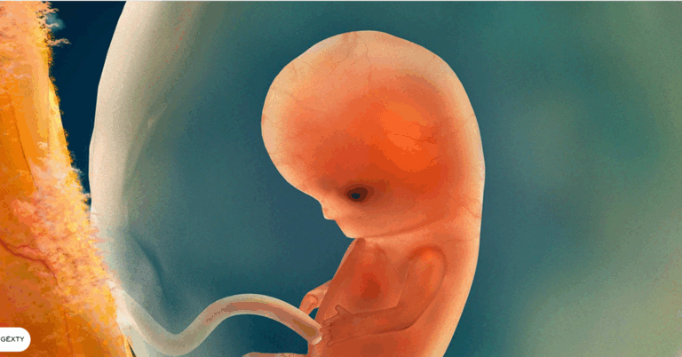 Mitra artificiale nga Japonia – Revolucioni në mjekësinë riprodhuese dhe kujdesin neonatal