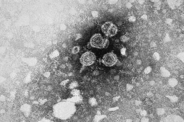 Vaksina e re kundër hepatitit B hyn në provat e para klinike