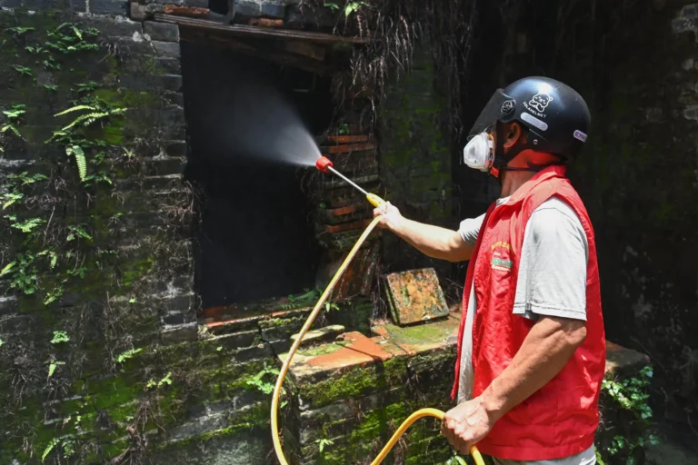 Kina i shpall ‘luftë’ virusit Chikungunya