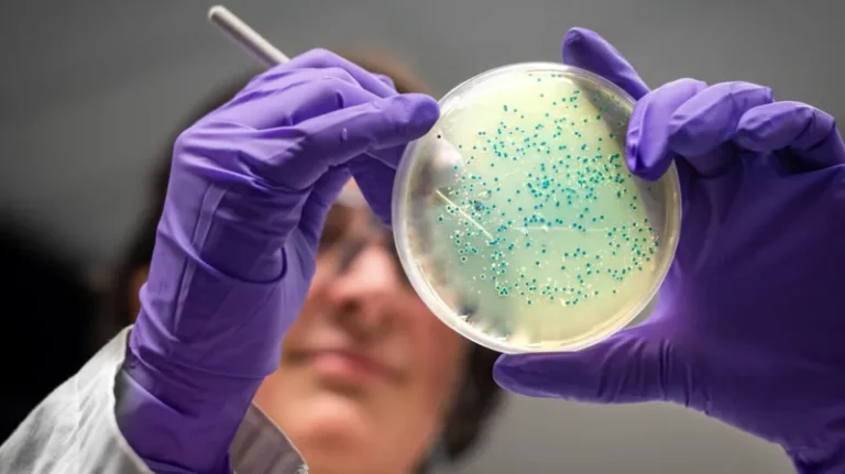 Shkencëtarët krijojnë dy antibiotikë nga inteligjenca artificiale, sfidojnë rezistencën bakteriale