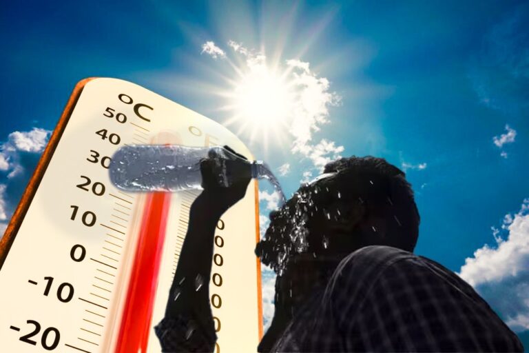 Dy në çdo tre vdekje këtë verë u shkaktuan nga nxehtësia ekstreme