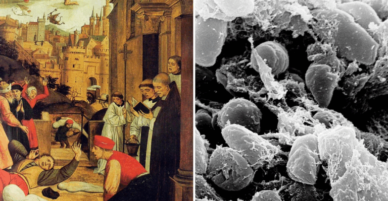Pandemia e parë në histori: ADN-ja e lashtë zbulon misterin e epidemisë 1,500-vjeçare