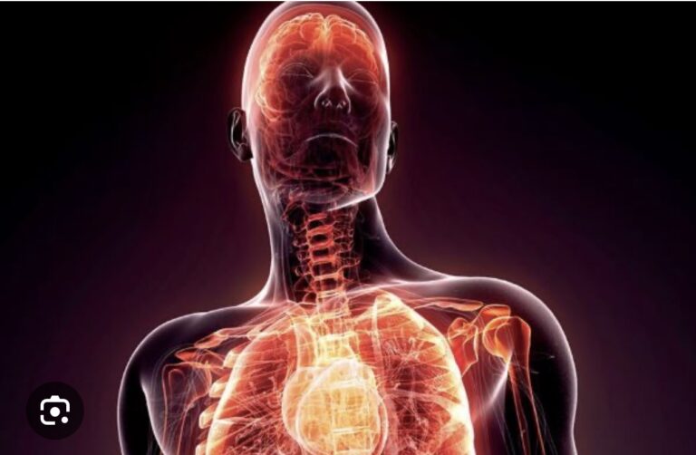 Zbulimi i mekanizmit natyral që mund të ndalojë inflamacionin kronik