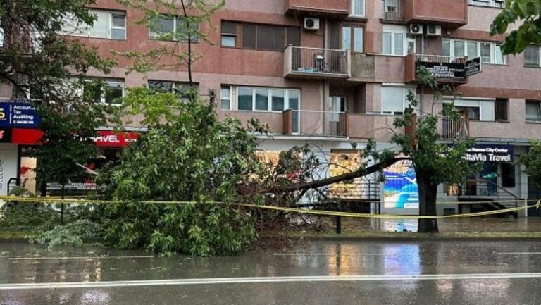 Erërat e forta, apel qytetarëve: Kujdes kur ecni në parqe dhe gjatë parkimit të veturës afër pemëve
