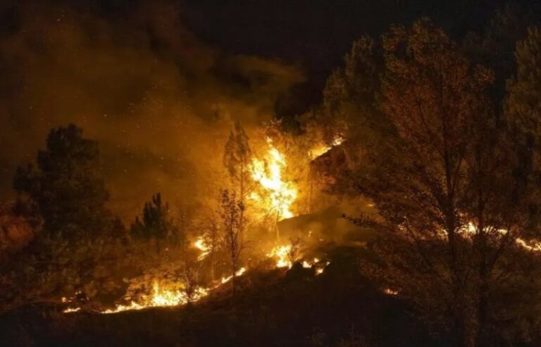 Të paktën 12 të vdekur nga zjarri shkatërrues në jug të Spanjës